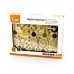 Magnetic Bead Trace - Number 